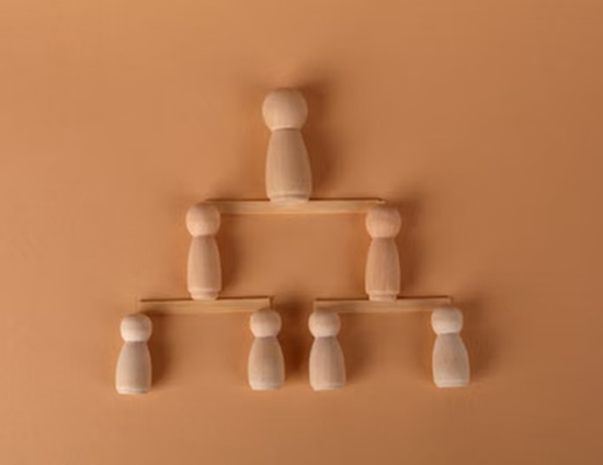 Team Structure